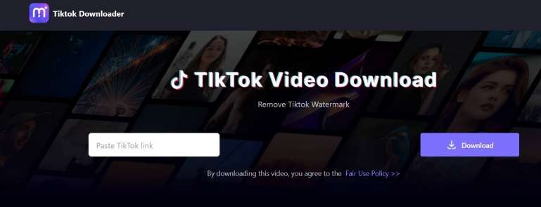 5-best-tiktok-4k-video-downloaders-in-2023-7.jpg