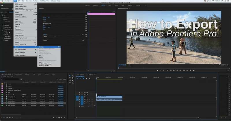 export media using premiere pro