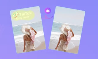 TikTok Watermark Remover