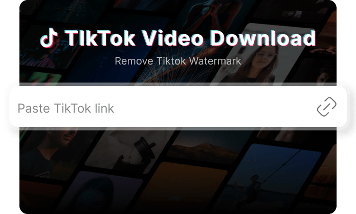 download-tiktok-videos-on-pc-5.jpg