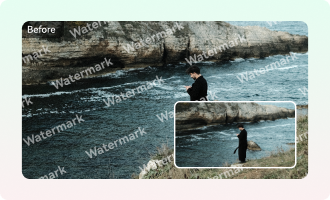 Video Watermark Remover